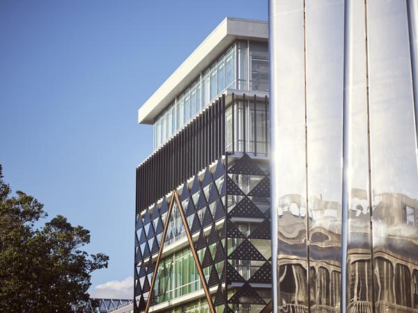 Boon Ngamotu House Cultural Facade Len Lye